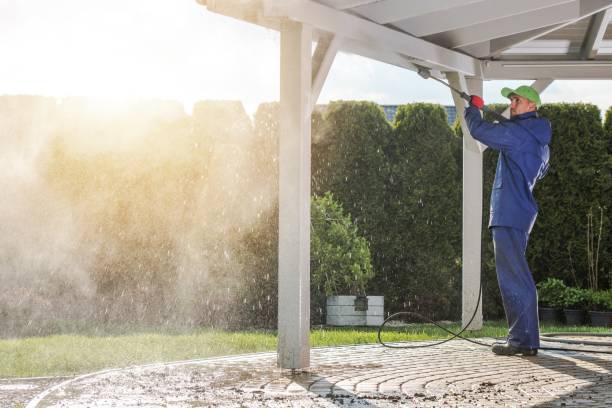 Best Driveway Pressure Washing  in Midland Park, NJ